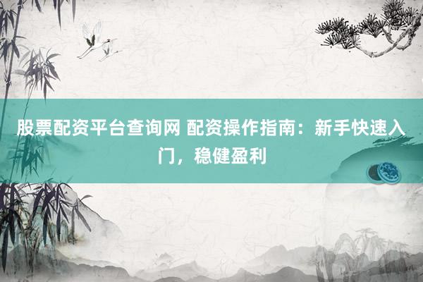 股票配资平台查询网 配资操作指南：新手快速入门，稳健盈利