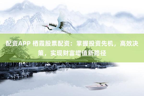 配资APP 栖霞股票配资：掌握投资先机，高效决策，实现财富增值新路径