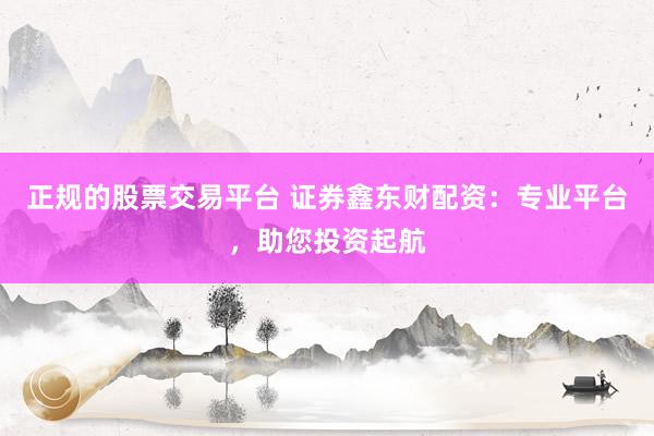 正规的股票交易平台 证券鑫东财配资：专业平台，助您投资起航