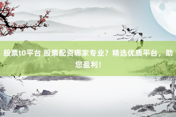 股票t0平台 股票配资哪家专业？精选优质平台，助您盈利！