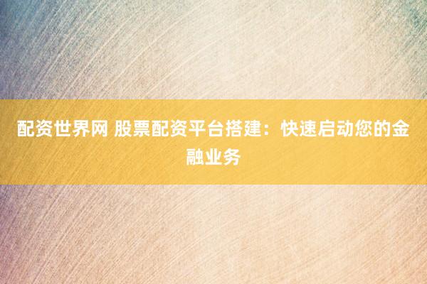 配资世界网 股票配资平台搭建：快速启动您的金融业务