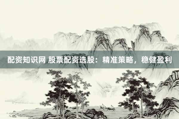 配资知识网 股票配资选股：精准策略，稳健盈利