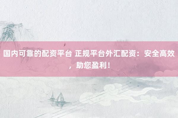 国内可靠的配资平台 正规平台外汇配资：安全高效，助您盈利！