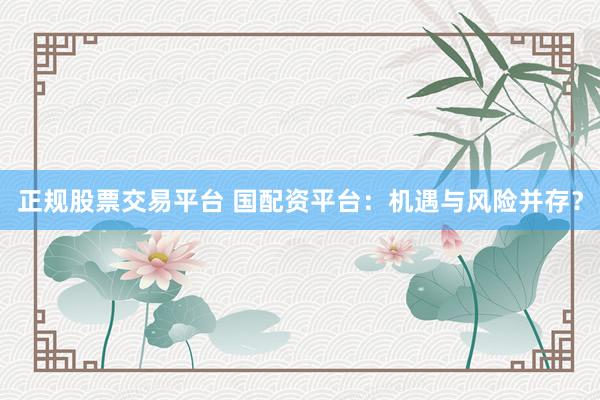 正规股票交易平台 国配资平台：机遇与风险并存？