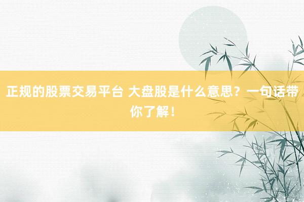 正规的股票交易平台 大盘股是什么意思？一句话带你了解！