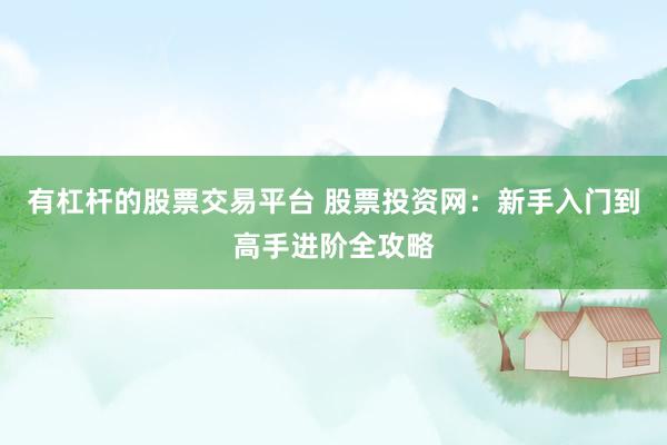 有杠杆的股票交易平台 股票投资网：新手入门到高手进阶全攻略