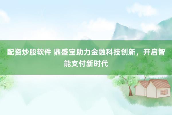 配资炒股软件 鼎盛宝助力金融科技创新，开启智能支付新时代