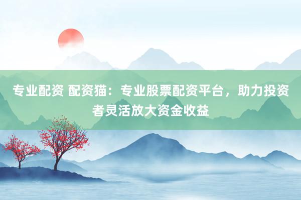 专业配资 配资猫:专业股票配资平台,助力投资者灵活放大资金收益