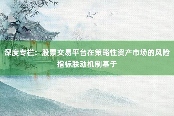 深度专栏：股票交易平台在策略性资产市场的风险指标联动机制基于