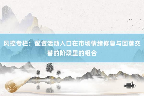 风控专栏：配资活动入口在市场情绪修复与回落交替的阶段里的组合