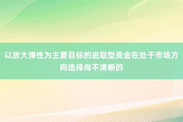 以放大弹性为主要目标的进取型资金在处于市场方向选择尚不清晰的